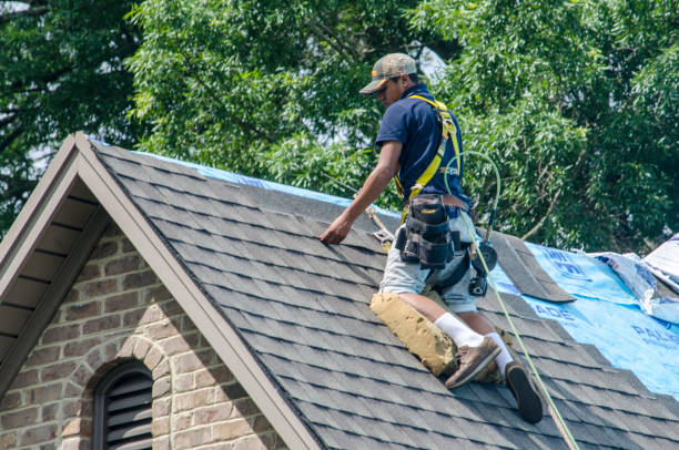 Quick and Trustworthy Emergency Roof Repair Services in Orange Beach, AL